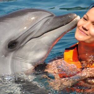 Dolphin Show Tour from Alanya