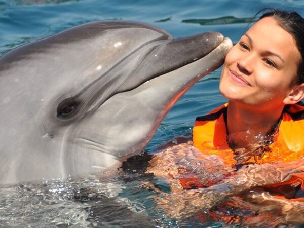 Dolphin Show Tour from Alanya