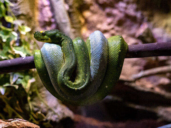 Antalya Aquarium Day Tour from Alanya - Image 5