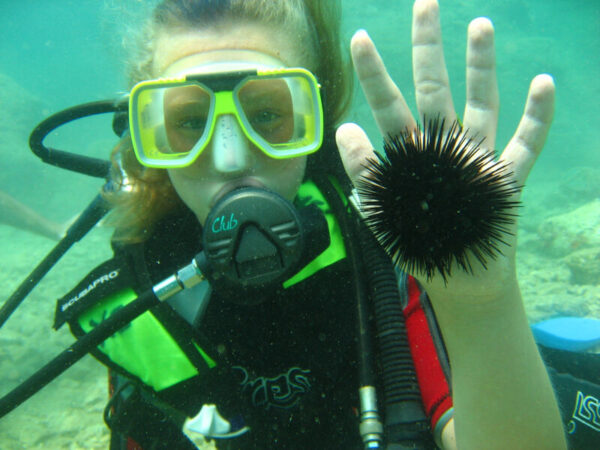 Scuba Diving Tour from Side to Alanya with 2 Dives & Lunch