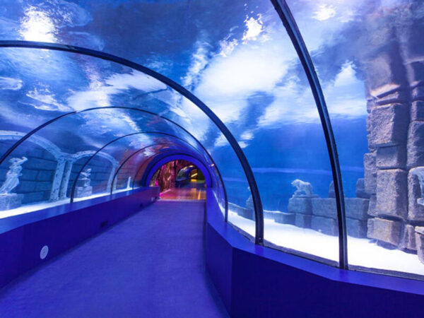Antalya Aquarium Day Tour from Alanya with Face2Face Museum Entry