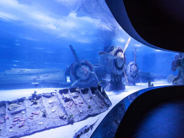 Antalya Aquarium Day Tour from Alanya - Image 4