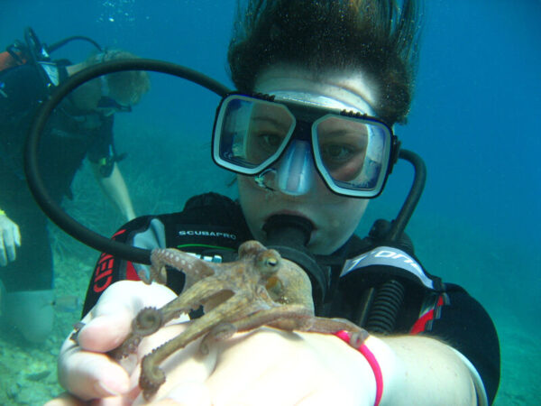 Scuba Diving Tour from Side to Alanya with 2 Dives & Lunch - Görsel 4