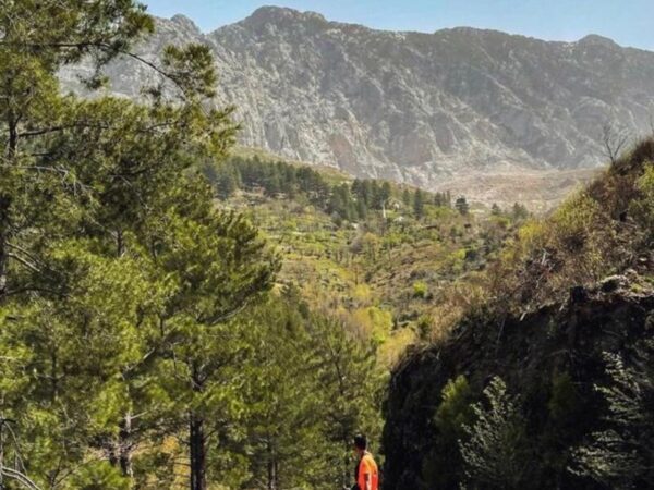 Explore Sapadere Canyon, visit the Dwarf Cave, and enjoy lunch and swimming in Dimçay on this guided nature tour from Alanya.