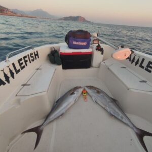 Private Mediterranean Fishing Tour from Alanya
