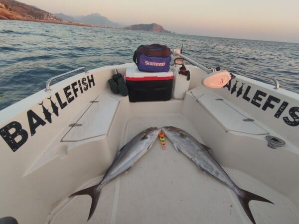 Private Mediterranean Fishing Tour from Alanya