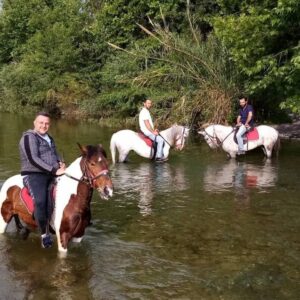 Alanya Horseback Riding Tour through Forest Trails – Self Transfer