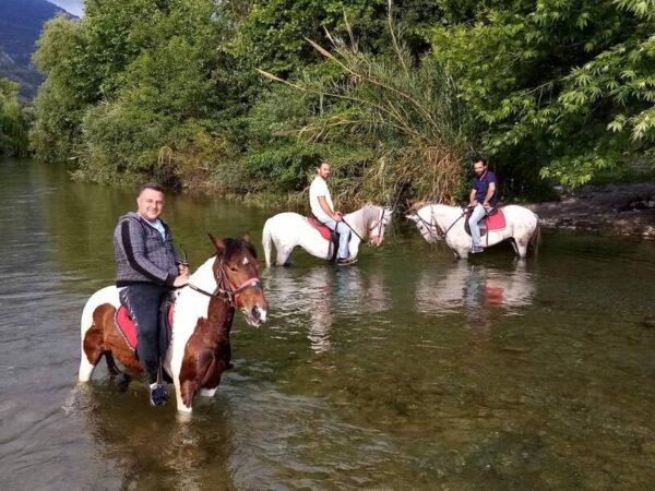 Alanya Horseback Riding Tour through Forest Trails – Self Transfer