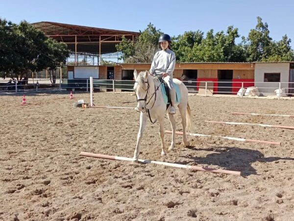 Alanya Horseback Riding Tour through Forest Trails - Görsel 4